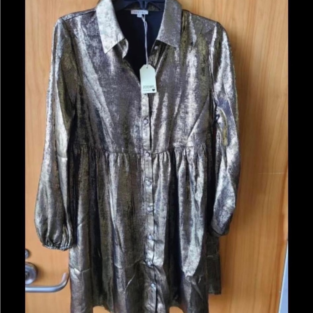 Umgee metallic dress